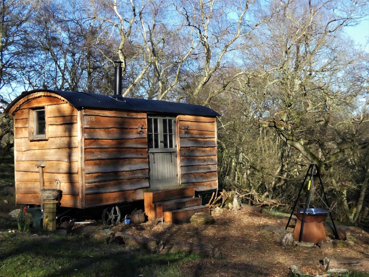 The Hideaway, Shepherd's Hut Scarborough