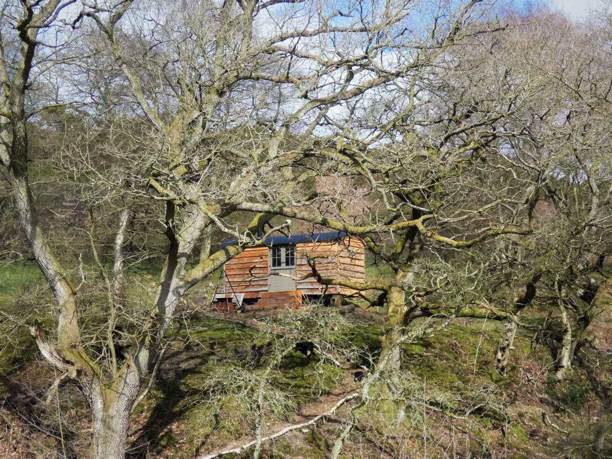 The Hideaway, Shepherd's Hut