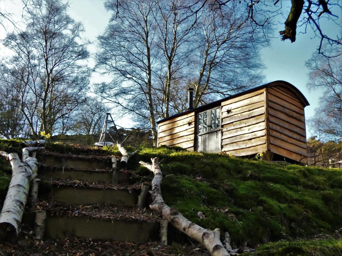 Holiday home The Hideaway, Shepherd's Hut Scarborough