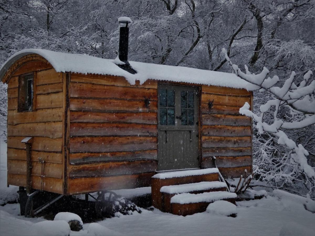 The Hideaway, Shepherd's Hut Holiday home Scarborough